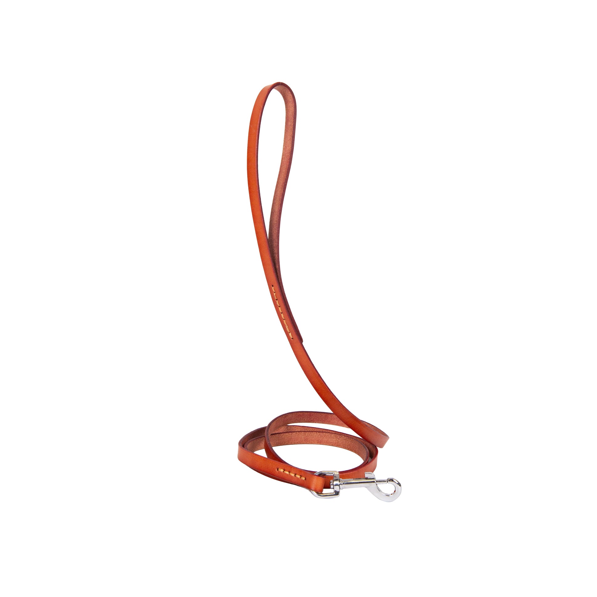 Pet Leather Collar & Leash Katya Komarova